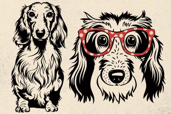 Longhaired Dachshund Svg, Dog Face Svg: A Designer's Review